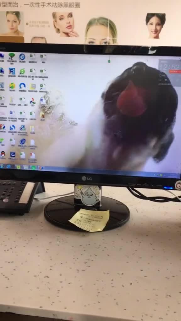 我偷偷把电脑壁纸给换了 老板回来看到会不会打我